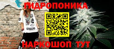 марихуана Будённовск
