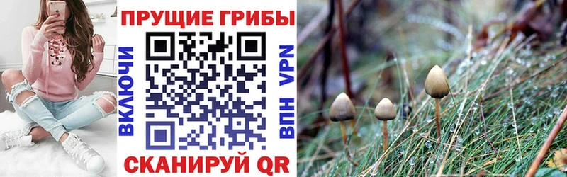 Галлюциногенные грибы мухоморы  shop состав  Краснокамск  где продают наркотики 