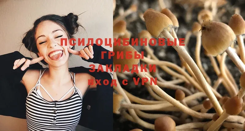 Псилоцибиновые грибы Magic Shrooms  Краснокамск 