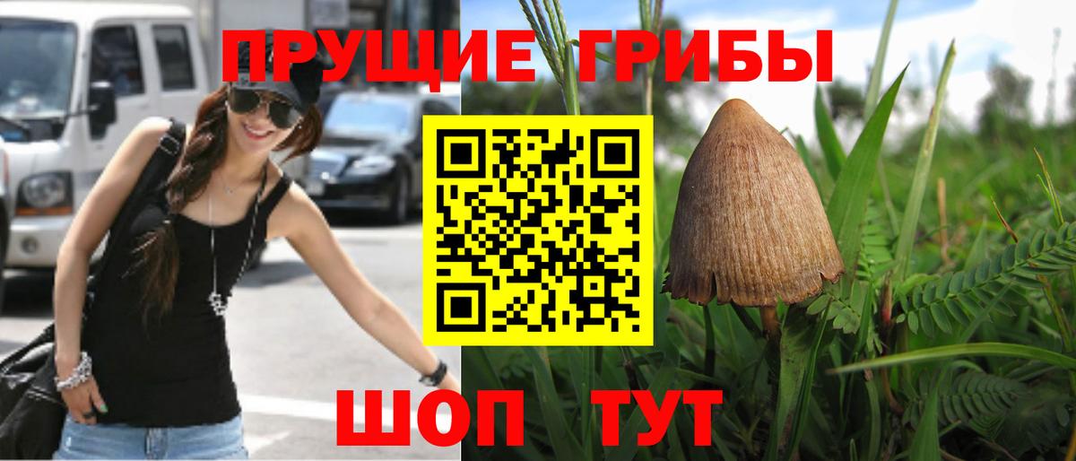 Краснокамск  Галлюциногенные грибы MAGIC MUSHROOMS  закладки  Псилоцибиновые грибы прущие грибы  Вход с VPN 